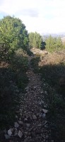 20221217_105423.jpg 20221217_105423.jpg