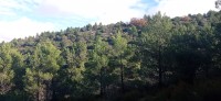 20221217_105658.jpg 20221217_105658.jpg