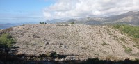 20221217_110050.jpg 20221217_110050.jpg