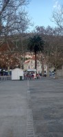 20221217_153103.jpg 20221217_153103.jpg