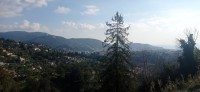 20230127_125859.jpg 20230127_125859.jpg