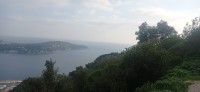 20230127_144843.jpg 20230127_144843.jpg