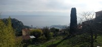 20230128_113239.jpg 20230128_113239.jpg