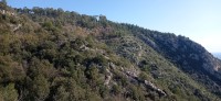 20230128_132039.jpg 20230128_132039.jpg