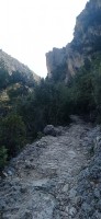 20230128_132553.jpg 20230128_132553.jpg