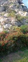 20230128_160636.jpg 20230128_160636.jpg