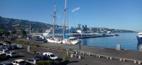 20230208_081704.jpg 20230208_081704.jpg