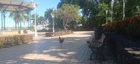 20230208_083126.jpg 20230208_083126.jpg