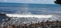 20230209_094906.jpg 20230209_094906.jpg