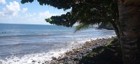 20230209_094913.jpg 20230209_094913.jpg