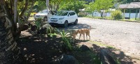 20230209_094916.jpg 20230209_094916.jpg