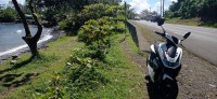 20230209_095901.jpg 20230209_095901.jpg