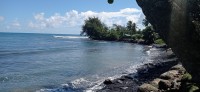 20230209_095910.jpg 20230209_095910.jpg