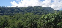 20230209_100547.jpg 20230209_100547.jpg