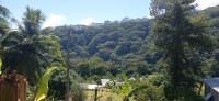 20230209_100808.jpg 20230209_100808.jpg