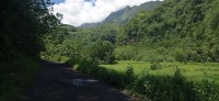 20230209_105256.jpg 20230209_105256.jpg