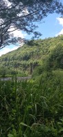 20230209_105907.jpg 20230209_105907.jpg