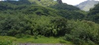 20230209_110908.jpg 20230209_110908.jpg