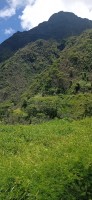 20230209_123505.jpg 20230209_123505.jpg