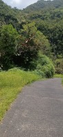 20230209_123923.jpg 20230209_123923.jpg