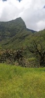 20230209_123927.jpg 20230209_123927.jpg