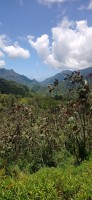 20230209_124043.jpg 20230209_124043.jpg