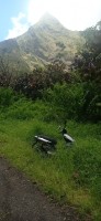 20230209_131934.jpg 20230209_131934.jpg