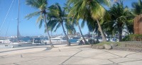 20230210_161403.jpg 20230210_161403.jpg