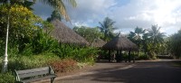 20230210_161809.jpg 20230210_161809.jpg