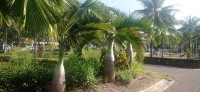 20230210_161834.jpg 20230210_161834.jpg