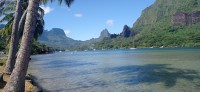 20230211_091926.jpg 20230211_091926.jpg