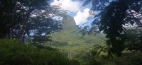 20230211_100427.jpg 20230211_100427.jpg
