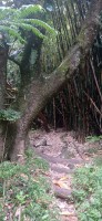 20230211_103802.jpg 20230211_103802.jpg