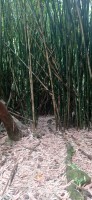 20230211_103819.jpg 20230211_103819.jpg