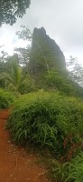 20230211_111511.jpg 20230211_111511.jpg