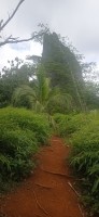 20230211_111546.jpg 20230211_111546.jpg