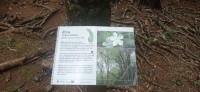 20230211_123051.jpg 20230211_123051.jpg