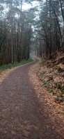 20230223_115119.jpg 20230223_115119.jpg