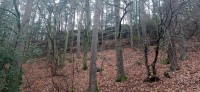 20230223_123621.jpg 20230223_123621.jpg