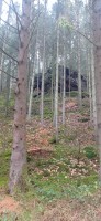 20230223_124400.jpg 20230223_124400.jpg