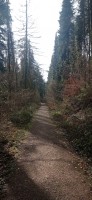 20230224_124806.jpg 20230224_124806.jpg