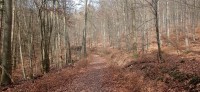 20230224_125101.jpg 20230224_125101.jpg