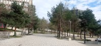 20230225_140615.jpg 20230225_140615.jpg