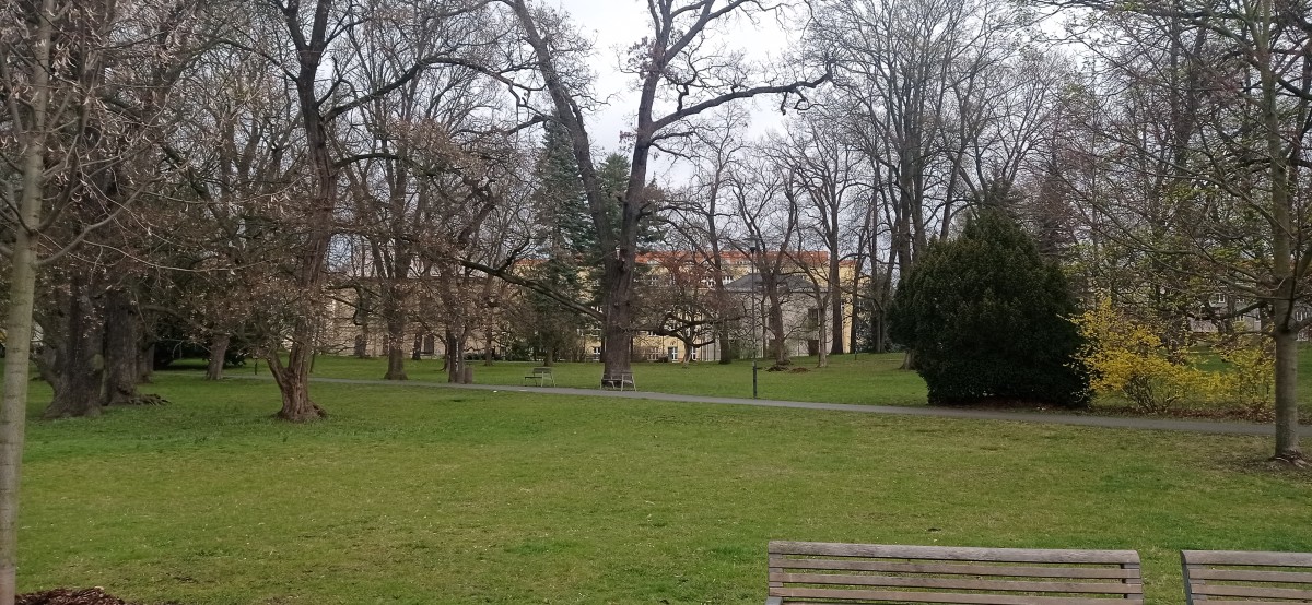20230401_085825.jpg