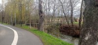 20230401_091221.jpg 20230401_091221.jpg