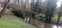 20230401_091740.jpg 20230401_091740.jpg
