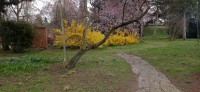 20230405_121922.jpg 20230405_121922.jpg