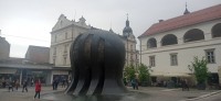 20230517_121122.jpg 20230517_121122.jpg