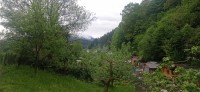20230517_184939.jpg 20230517_184939.jpg