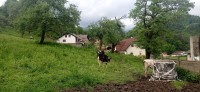 20230518_185348.jpg 20230518_185348.jpg